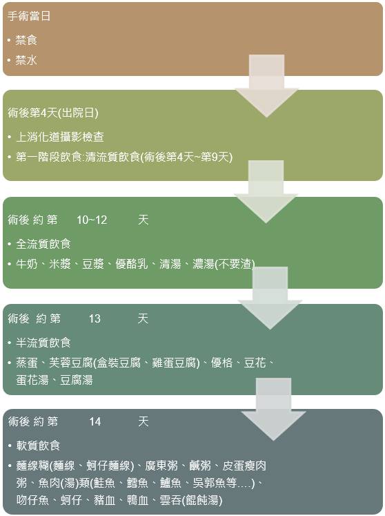 術後飲食 台中慈濟醫院代謝及減重中心